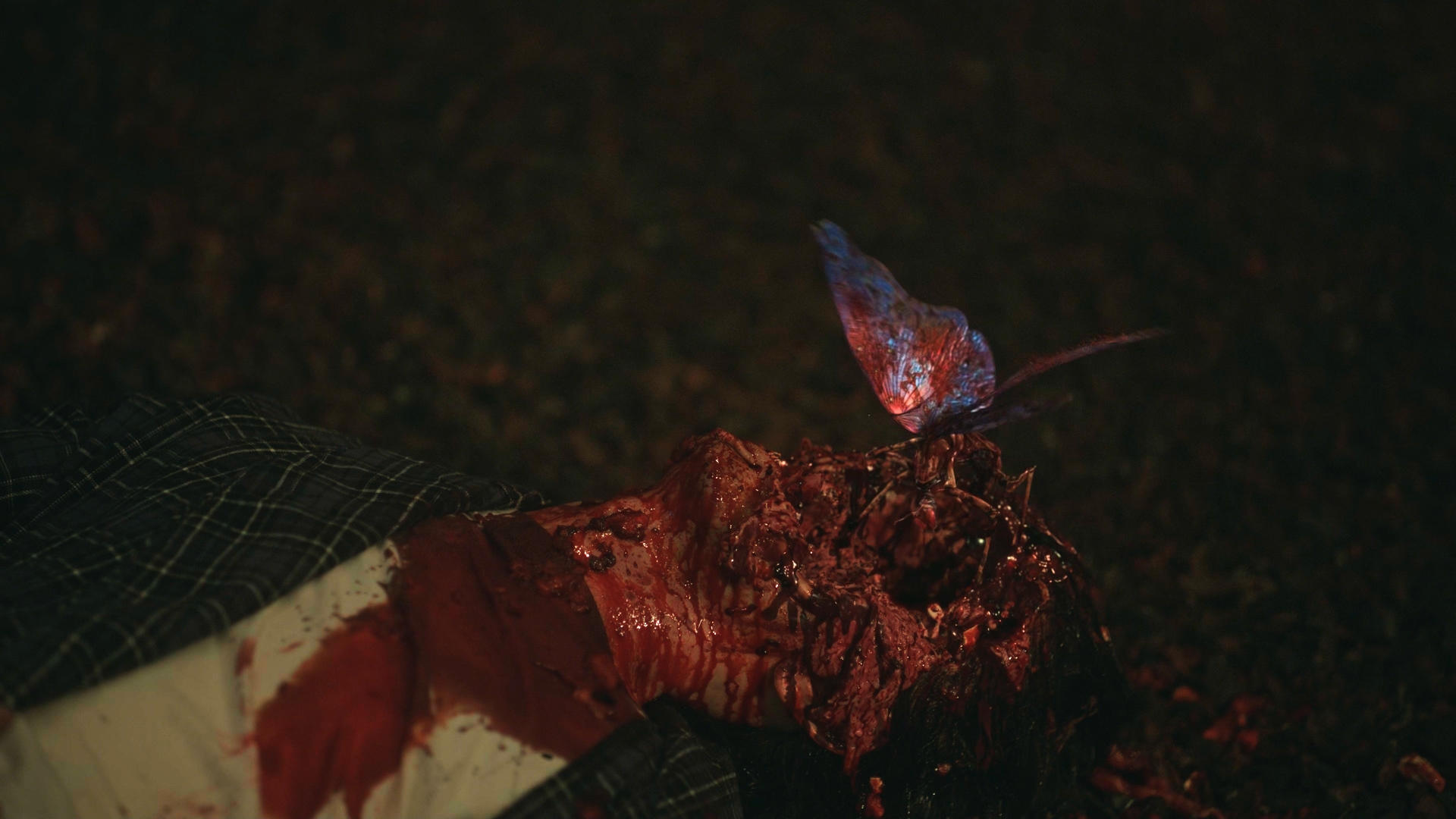 Still 2025 11 01 161911 1.2.1